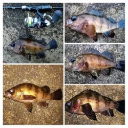 アジンガー1810〜1935