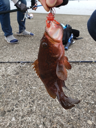射程距離外でアウト