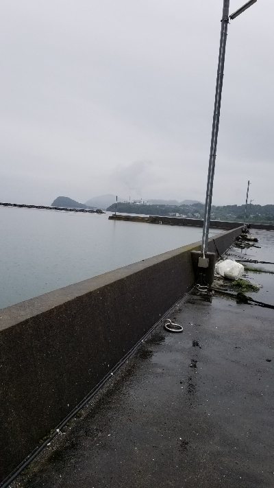 雨があまり降ってない間に