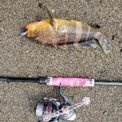 なんとか一匹・・・愛竿さようなら