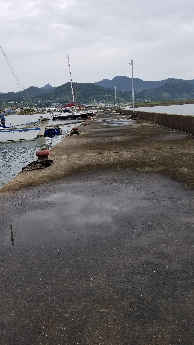 カニじゃないチヌきたー