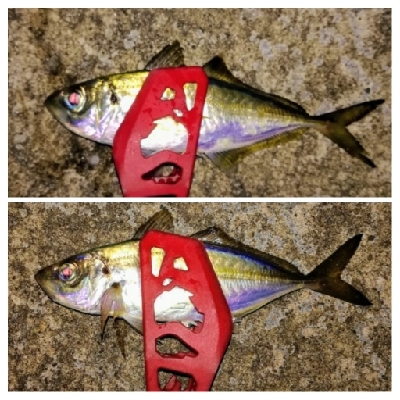 アジンガー1905〜2140