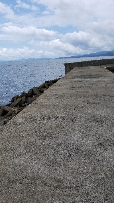 今日もチヌこない…