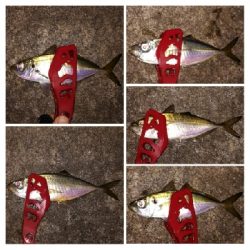 アジンガー1910〜2041