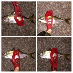 アジンガー1910〜2025