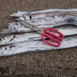 渋い中でも…結果出た‼️