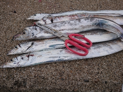 渋い中でも…結果出た‼️