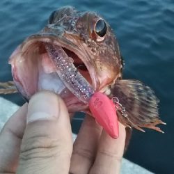 ボトムアタック