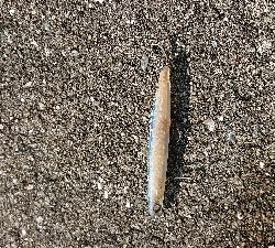 勉強不足を痛感！