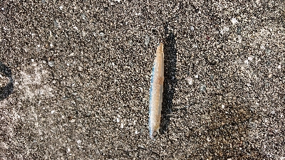 勉強不足を痛感！