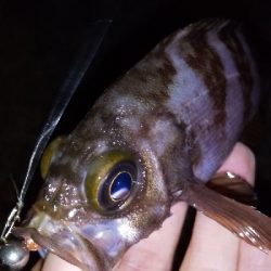 またしても不完全燃焼