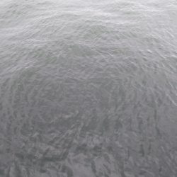 ツバスはいつまで続く？