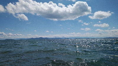 ウィードがまだ少ない