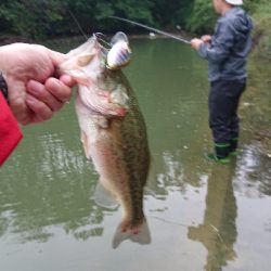 トップウォーター