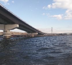 fxfで神戸空港近くで初ツバス