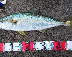 腰抜けそう( ;∀;)