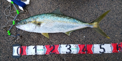 腰抜けそう(  ；∀；)