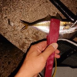 サバゲームのはずが。