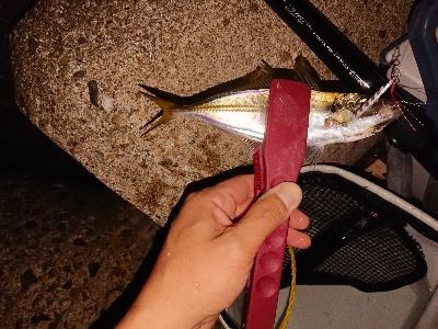 サバゲームのはずが。