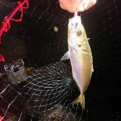 サバゲーム不発