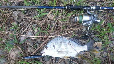 宿毛市松田川にて