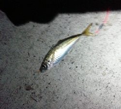 活性が高かったものの地合い短し