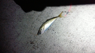 活性が高かったものの地合い短し