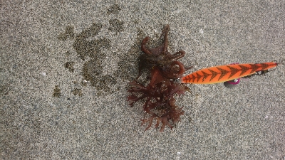 そろそろはじまるよ