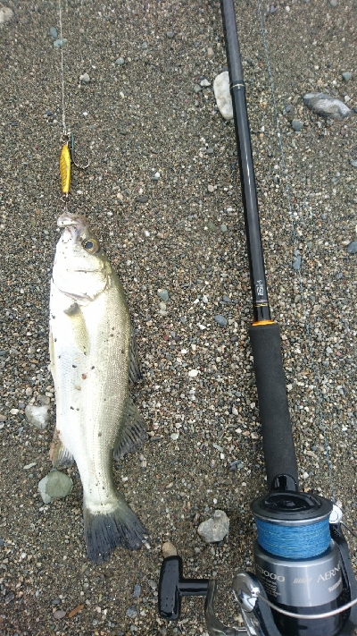 仁淀川河口ライトショアジギング