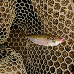 なかなか厳しい