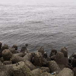 雨の中タコ釣りに