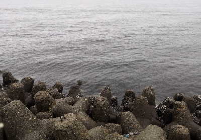 雨の中タコ釣りに