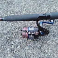 おくとぱっしんぐ