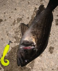 時間無制限一本勝負