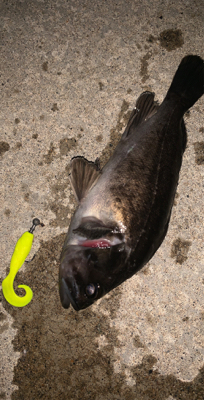 時間無制限一本勝負