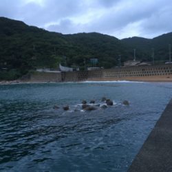 フラットフィッシュ狙い