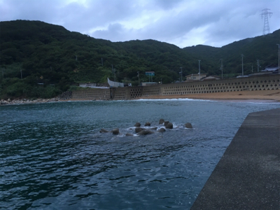 フラットフィッシュ狙い