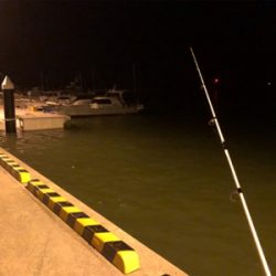 仕事帰りに夜釣り