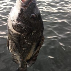 雨上がりの夕方