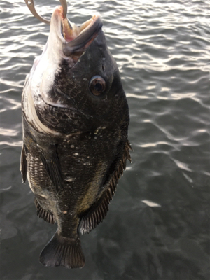 雨上がりの夕方