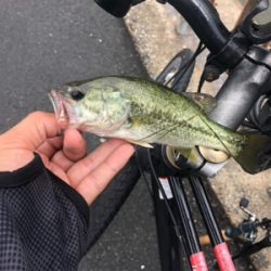 ゲーリーヤマモト最強