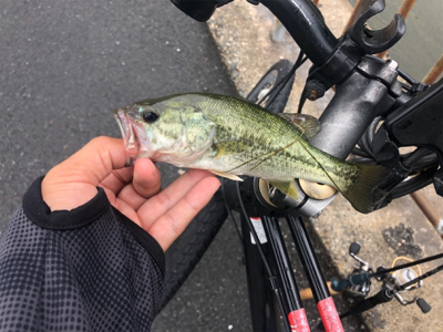 ゲーリーヤマモト最強