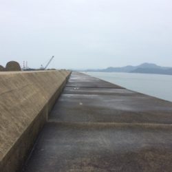 梅雨のツバス祭り