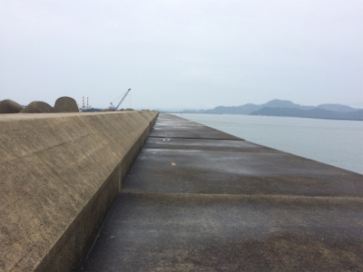 梅雨のツバス祭り