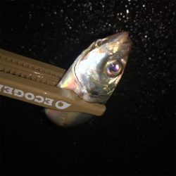 ロッド折れても心は折れず!