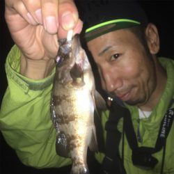 癒しのメバリング〜GUNNING-STYLE