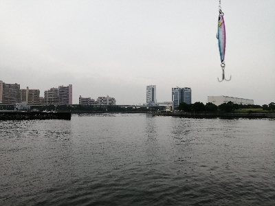 ヘチ釣りからのツバス狙い