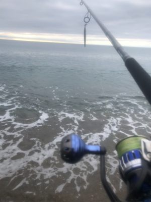 ショアジギング 道南津軽海峡