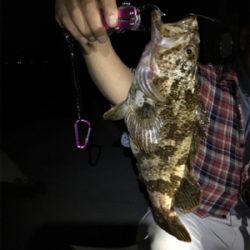 飾磨で尺超え出た!