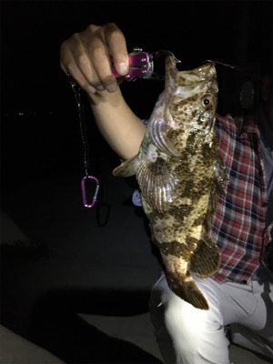 飾磨で尺超え出た!